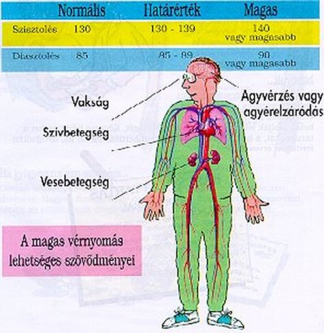 magas-vernyomas.jpg